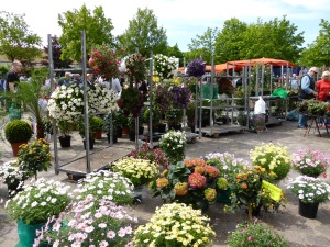 Flower festival in Kellinghusen